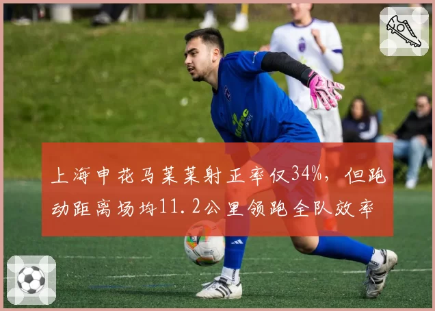 上海申花马莱莱射正率仅34%，但跑动距离场均11.2公里领跑全队效率争议