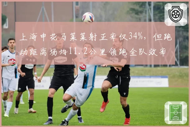 上海申花马莱莱射正率仅34%，但跑动距离场均11.2公里领跑全队效率争议