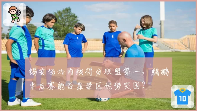 锡安场均内线得分联盟第一，鹈鹕季后赛能否靠禁区优势突围？