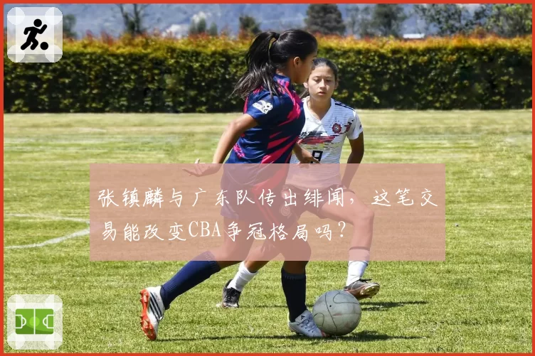 张镇麟与广东队传出绯闻，这笔交易能改变CBA争冠格局吗？